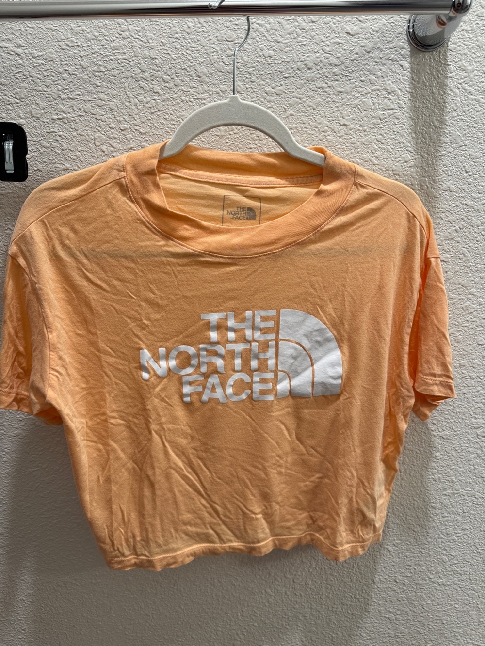 The North Face Peach Logo Cropped Tee